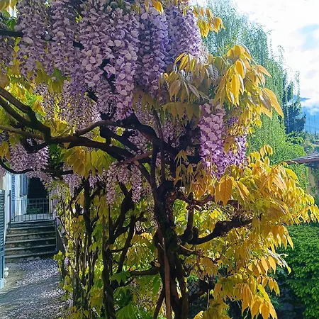 Palazzo Guicciardi Casa rural San Bernardo (Sondrio)