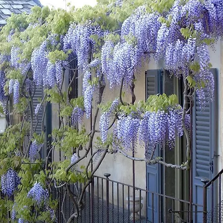 Country house Palazzo Guicciardi